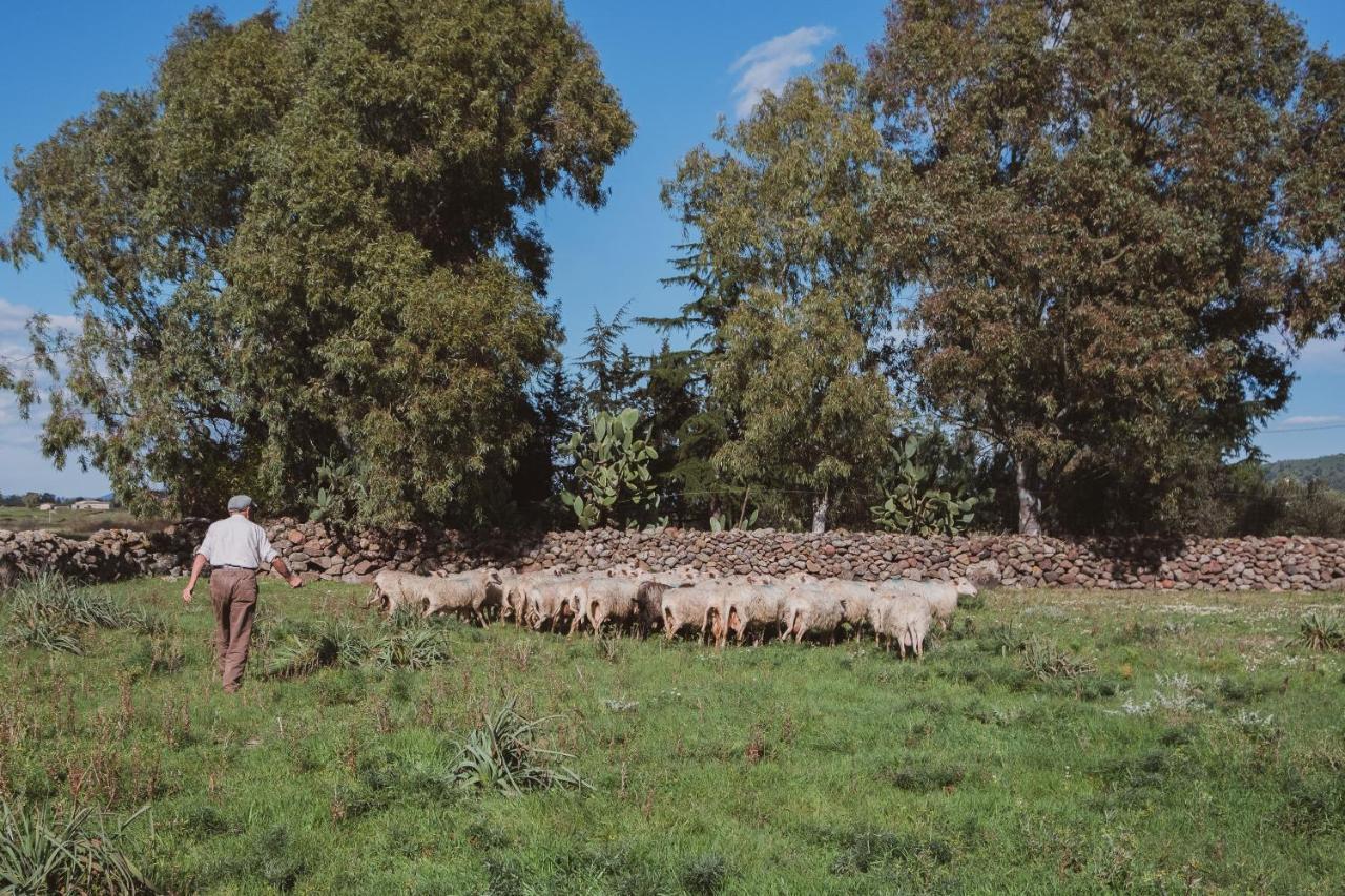 Binzas Betzas Agriturismo Sedilo 外观 照片