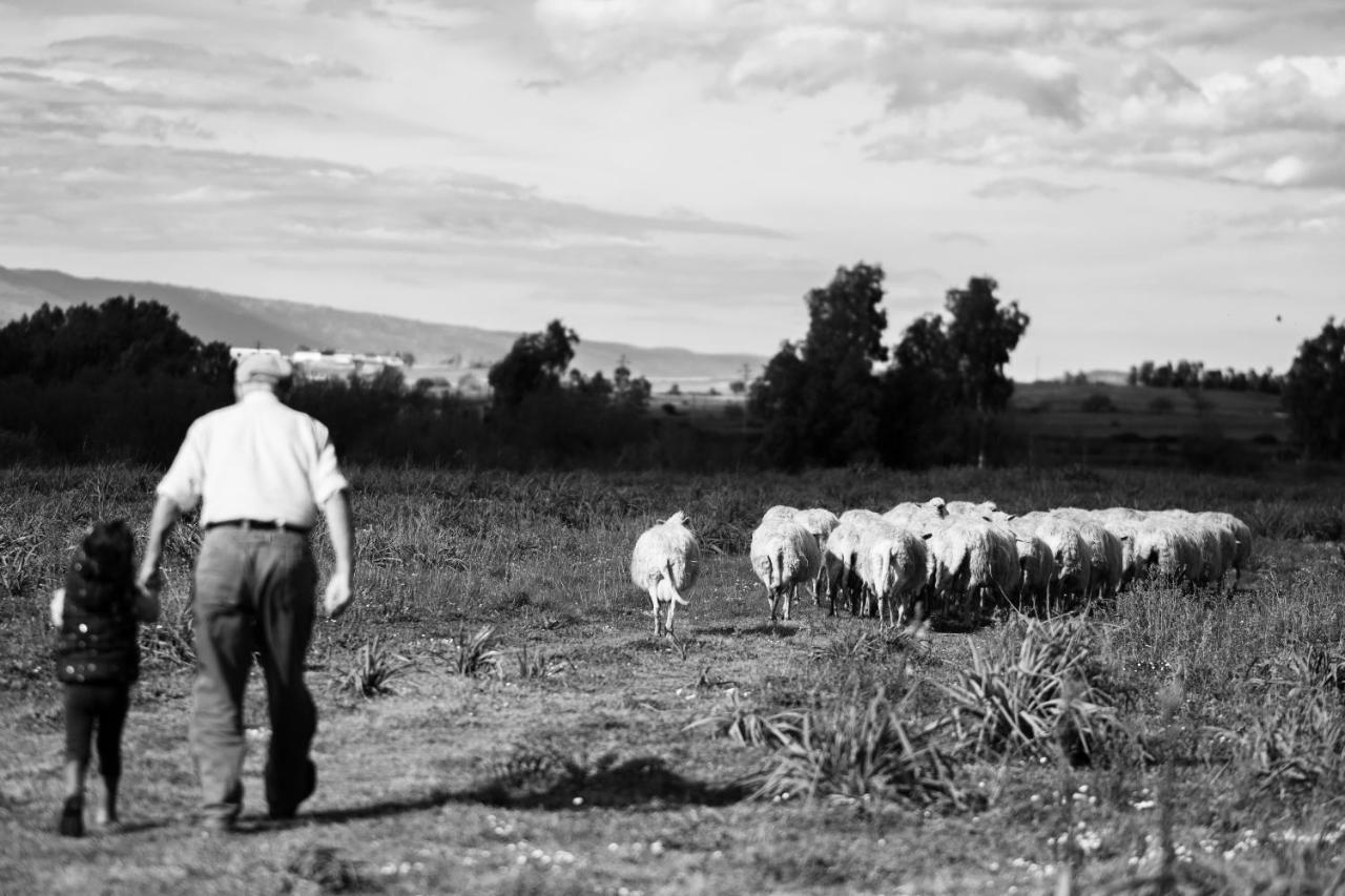 Binzas Betzas Agriturismo Sedilo 外观 照片
