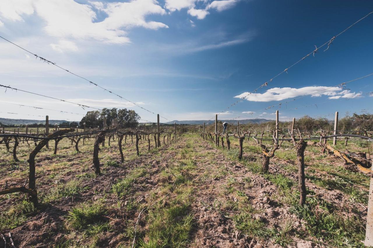 Binzas Betzas Agriturismo Sedilo 外观 照片
